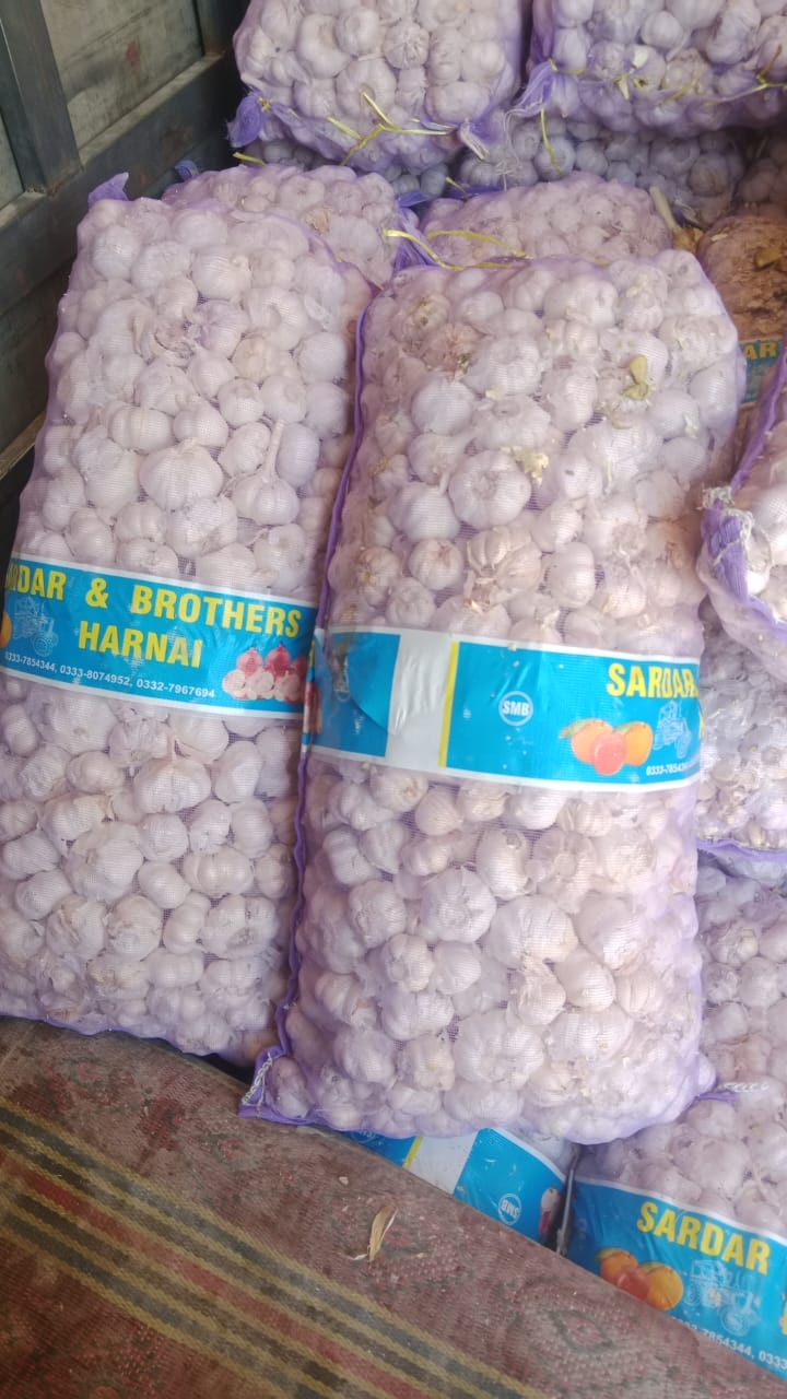 Bulk Mesh Sacks of White Garlic Bulbs
